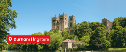 Avrupa Masali Tur hizmetleri